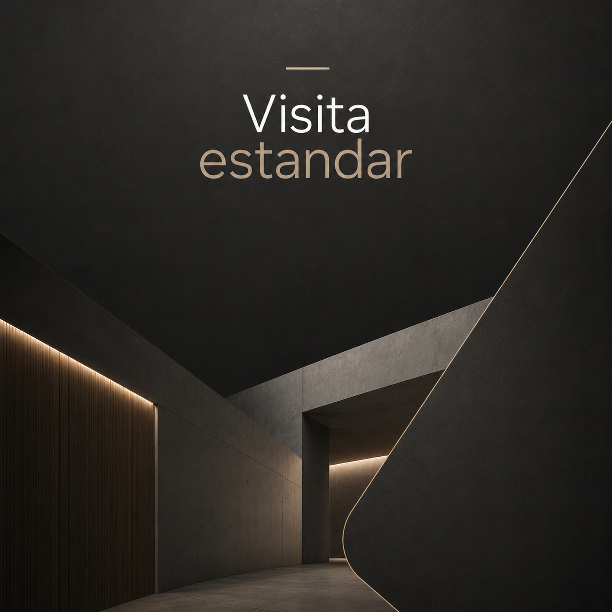 Visita Estándar